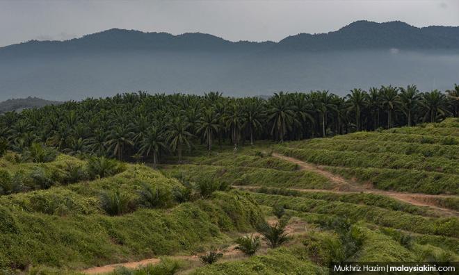 'Felda belum lagi hubungi FGV mengenai LLA'