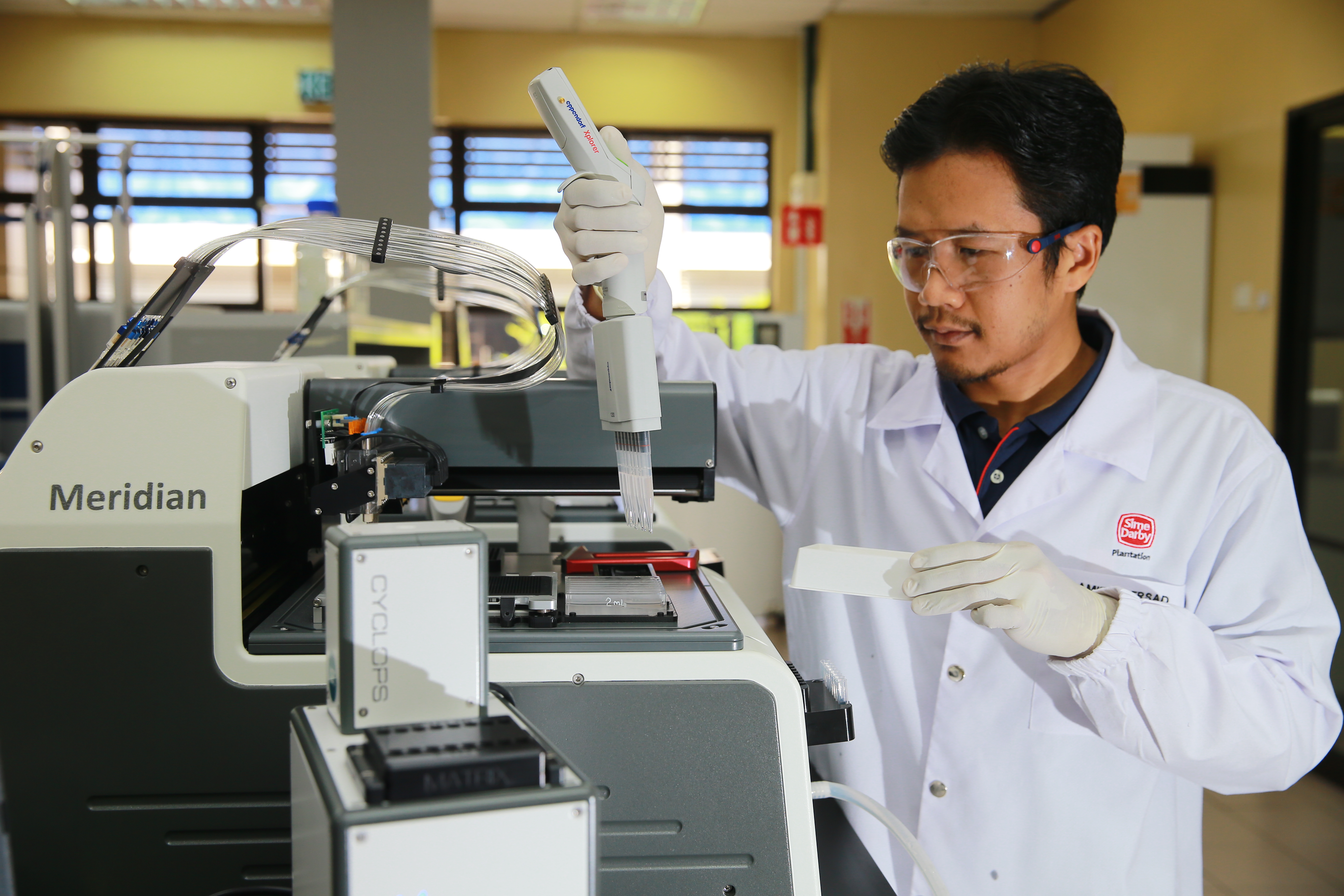 Sime Darby Plantation's Oil Palm Genome Research Available on Open 