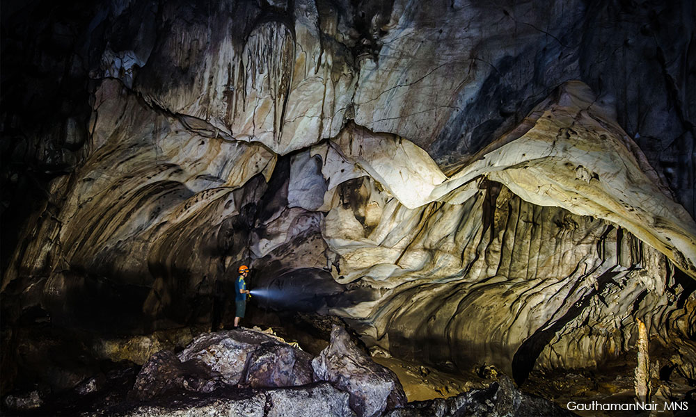 Discoveries support urgent protection for Batu Caves