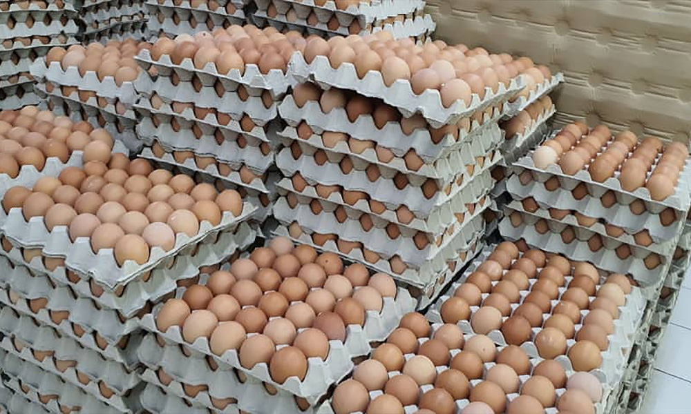 Menteri: Harga makanan ayam naik, telur turun hingga 38 peratus